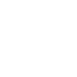 DMC